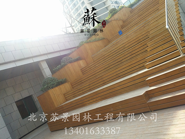 杏盛 1