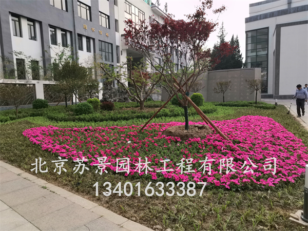 IMG_20210426_174756